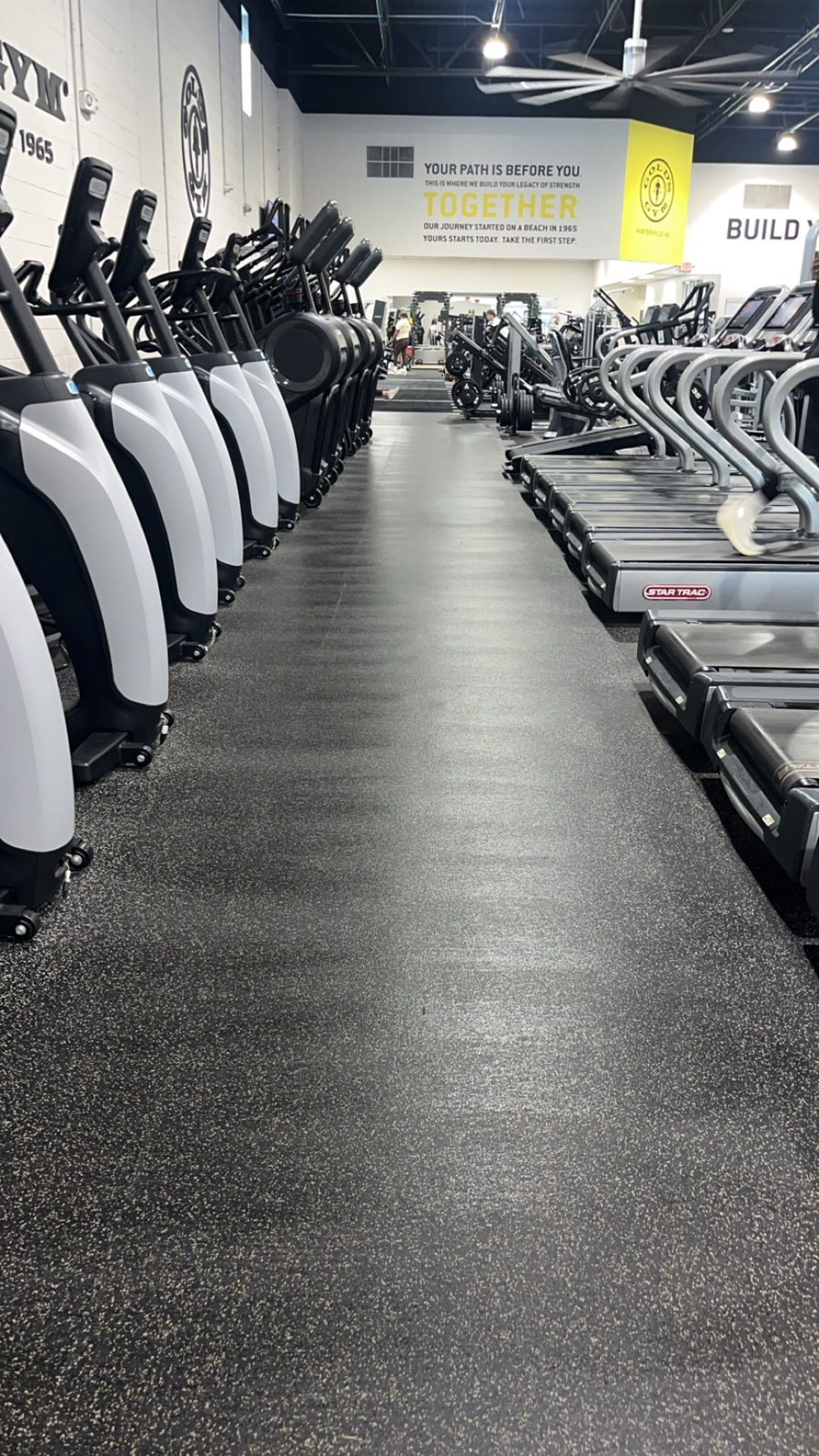 Cardio row between treadmills and stair climbers